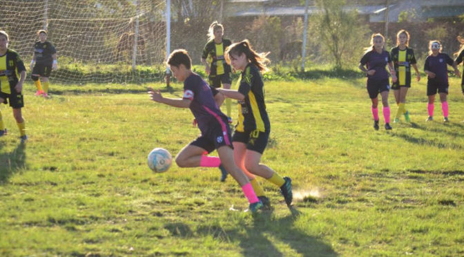 LAS BOHEMIAS PASARON OTRO EXAMEN